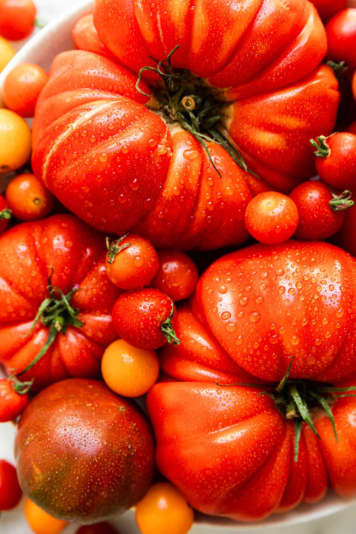 An overhead and macro shot of whole large heirloom tomatoes and cherry tomatoes arranged in a large white ceramic bowl. The tomatoes are ingredients for a tomato and burrata salad and the bowl sits atop a white and gray marble surface.